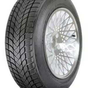 Landsail Winter Lander (Nordic) lamellrehv (175/65R15)