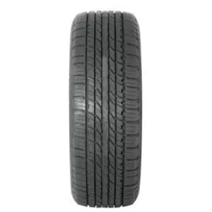 Double Star Ds01 suverehv (225/70R16)