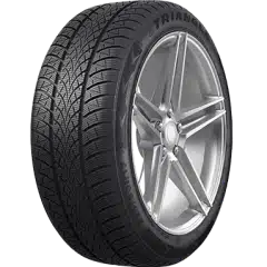Triangle WinterX TW401 lamellrehv (205/55R19)