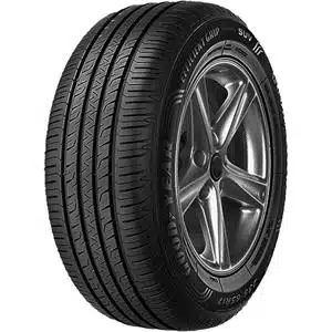 GOODYEAR EFFICIENTGRIP PERFORMANCE SUV suverehv (245/40R20)