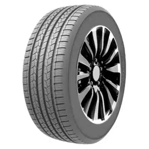 Doublestar DS01 suverehv (225/60R18)
